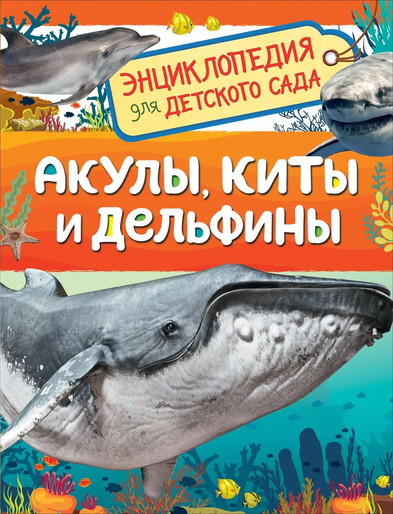 Акулы, киты и дельфины. Энциклопедия для детского сада | Энциклопедия для детского сада