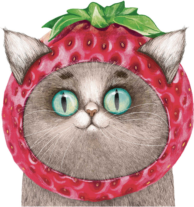 Блокнот «Необычная клубничка» | Феникс +