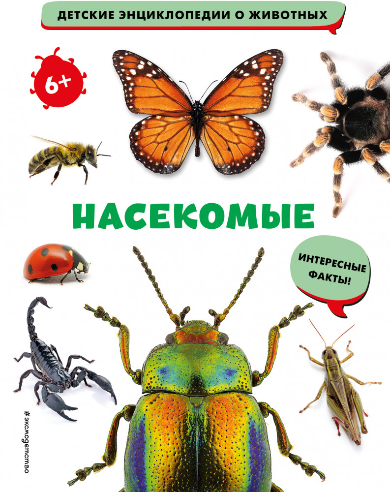Насекомые | Детские энциклопедии о животных