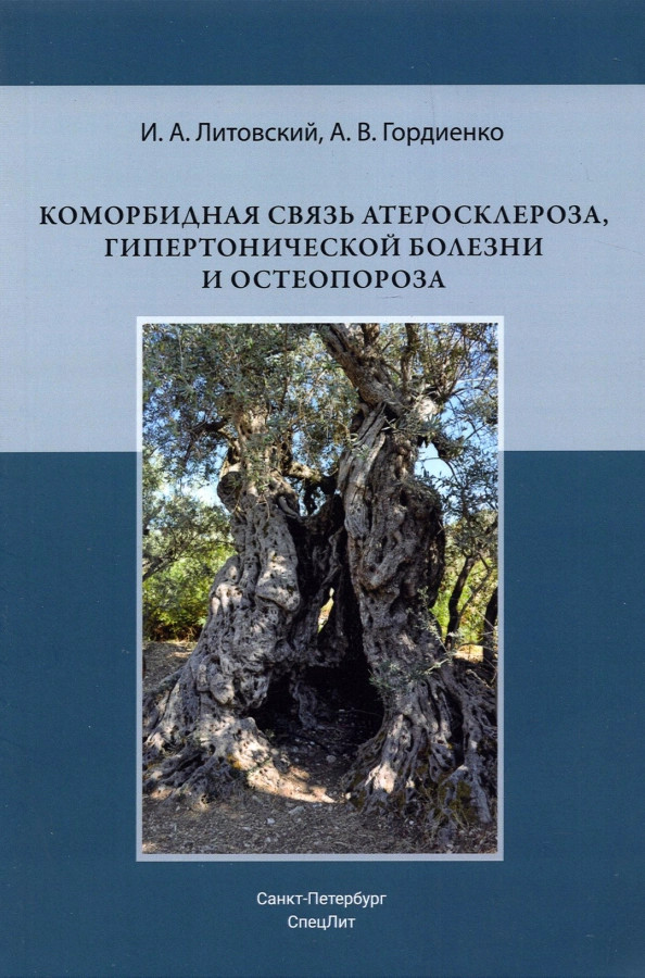 Коморбидная связь атеросклероза, гипертонической болезни и остеопороза