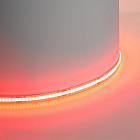 красный красный