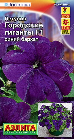 Петуния «Городские гиганты F1 синий бархат» | Аэлита