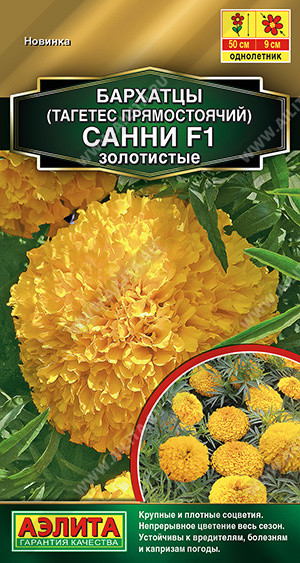 Бархатцы «Санни F1 золотистые прямостоячие» | Аэлита