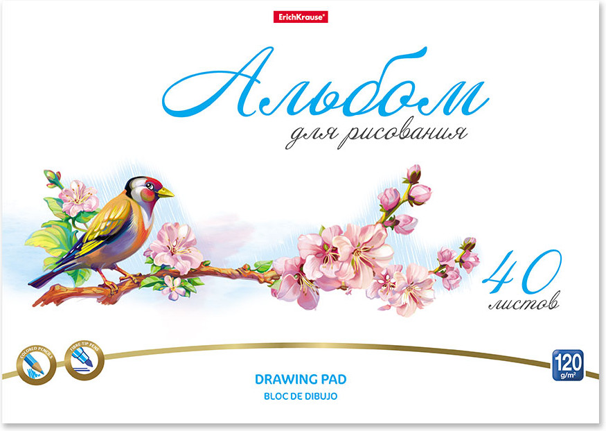 Альбом для рисования | Birds | Erich Krause
