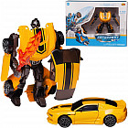 желтый/черный