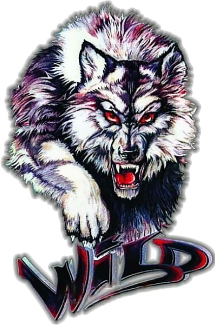 Наклейка на машину «Wild» | A-sticker