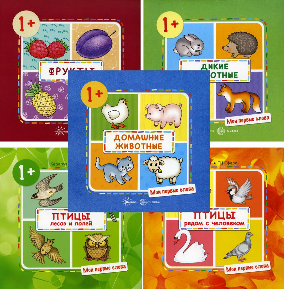 Мои первые слова. Комплект из 5 книг | Мои первые слова
