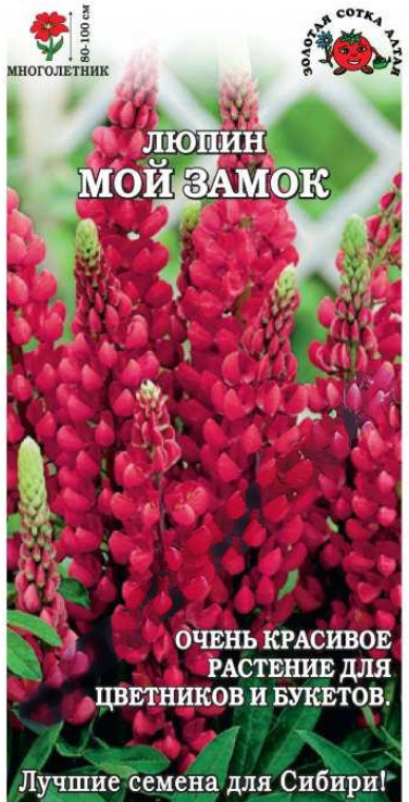 Люпин «Мой замок» | Золотая сотка Алтая