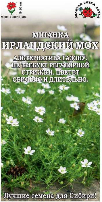 Мшанка шиловидная «Ирландский мох» | Золотая сотка Алтая