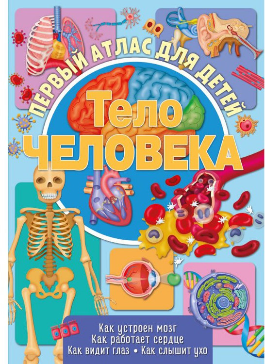 Атлас для детей «Тело человека» | ND Play