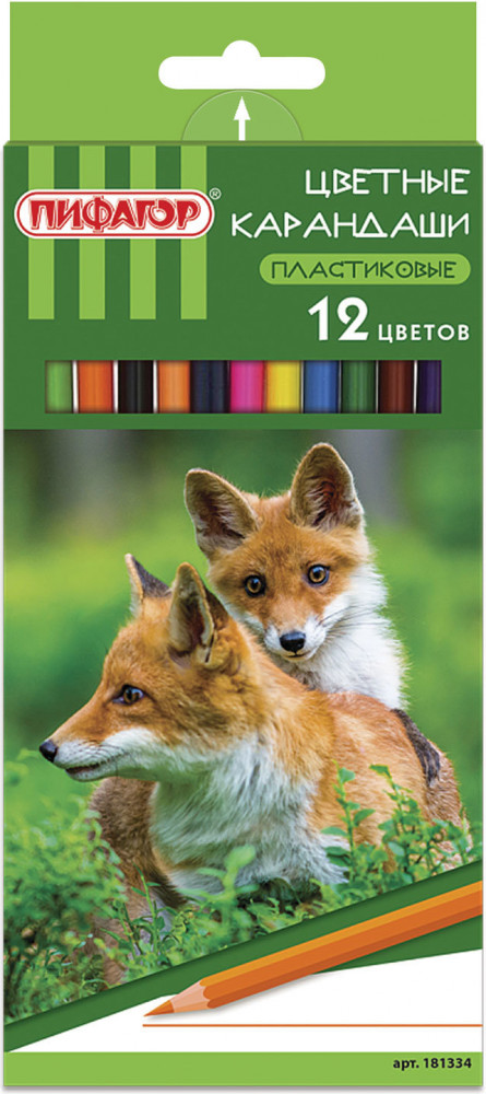 Набор цветных карандашей «Лесные жители» | Пифагор