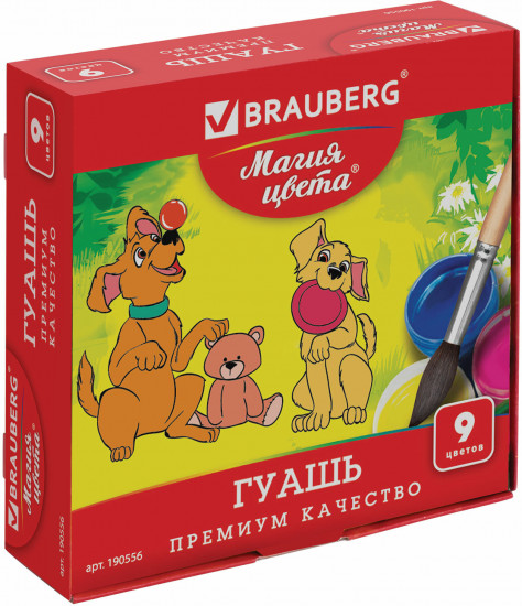 Набор гуаши