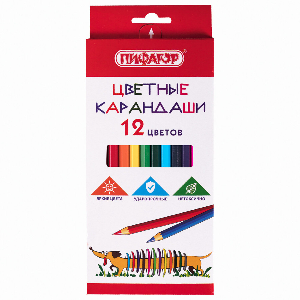 Набор карандашей цветных «Веселая такса» | Пифагор