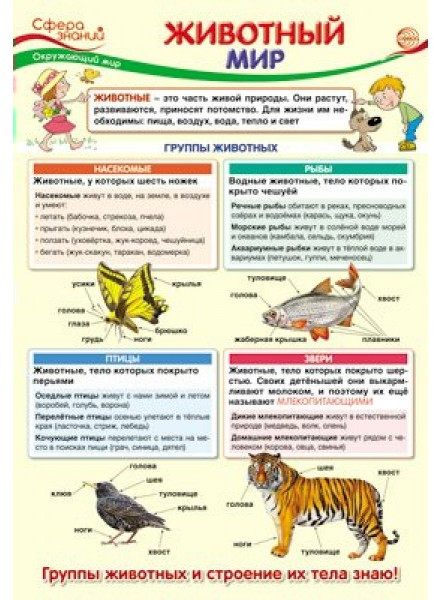Плакат «Животный мир» | Сфера знаний