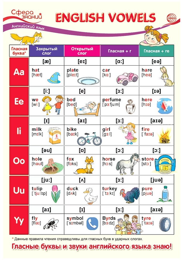 Плакат «English Vowels» | Сфера знаний
