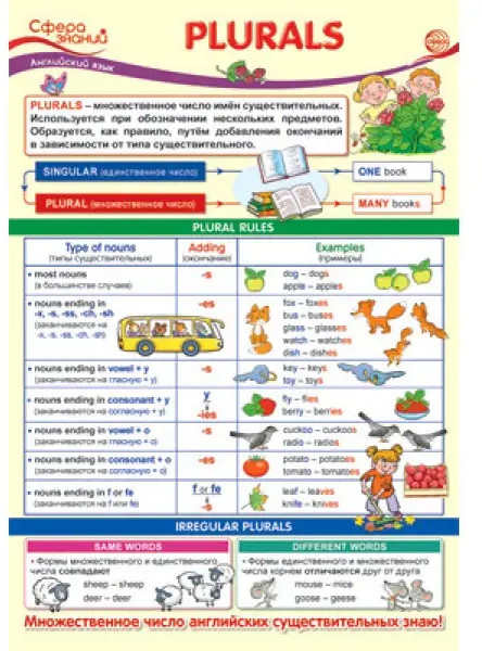 Плакат «Plurals» | Сфера знаний