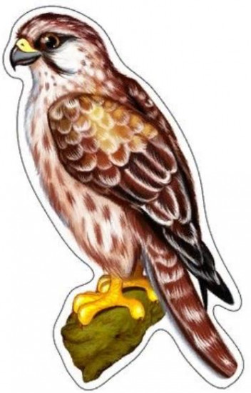 Плакат вырубной «Сокол»