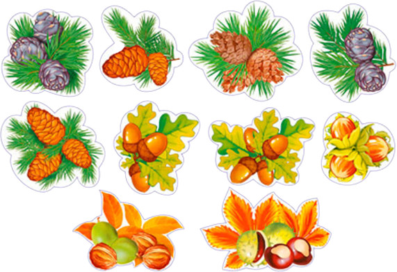 Комплект украшений на скотче «Дары леса» | Комплекты на скотче