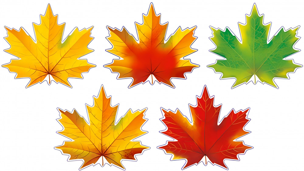 Комплект украшений на скотче «Кленовые листья» | Комплекты на скотче
