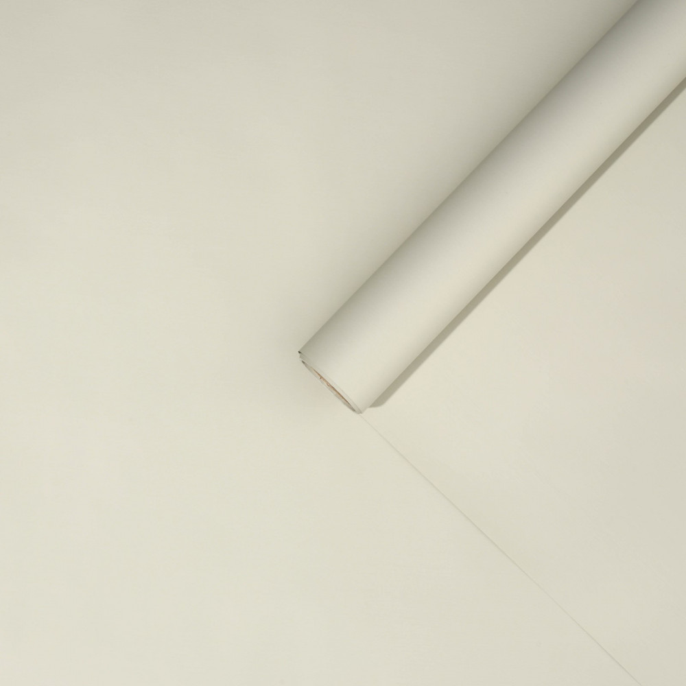 Пленка матовая