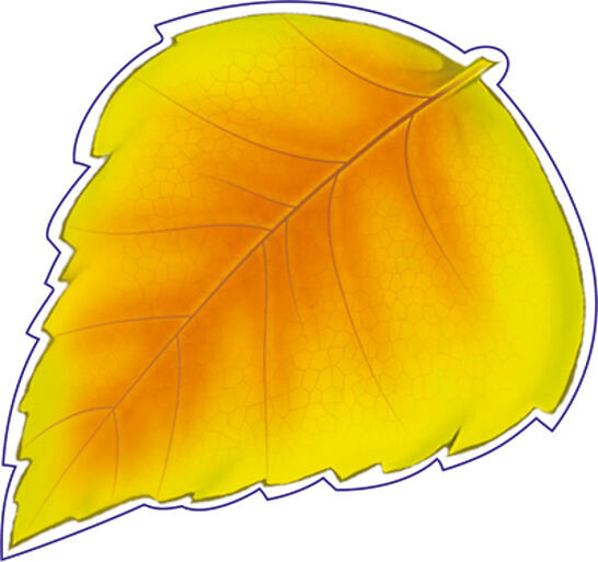 Фигурка вырубная «Листочек берёзы» | Вырубная фигурка