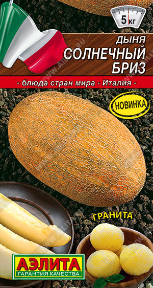 Дыня «Солнечный бриз» | Блюда стран мира | Аэлита