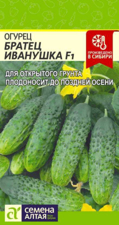 Огурец «Братец Иванушка» | Семена Алтая