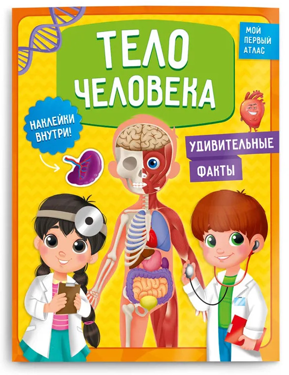Мой первый атлас с наклейками. Тело человека