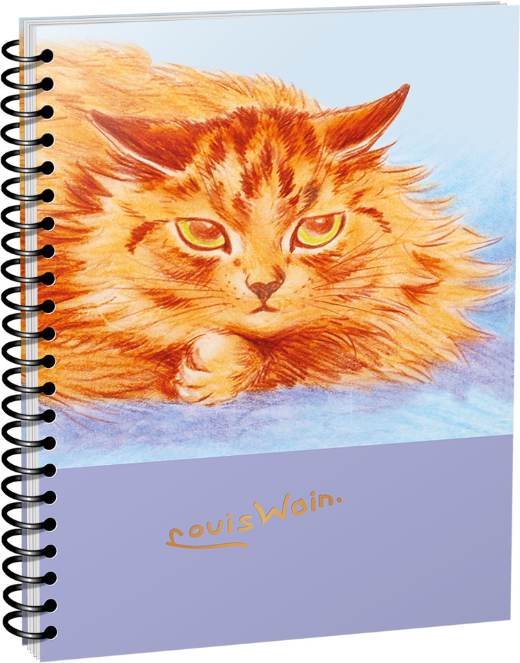 Скетчбук «Уэйн. Приглядывая за мышью» | Скетчбук