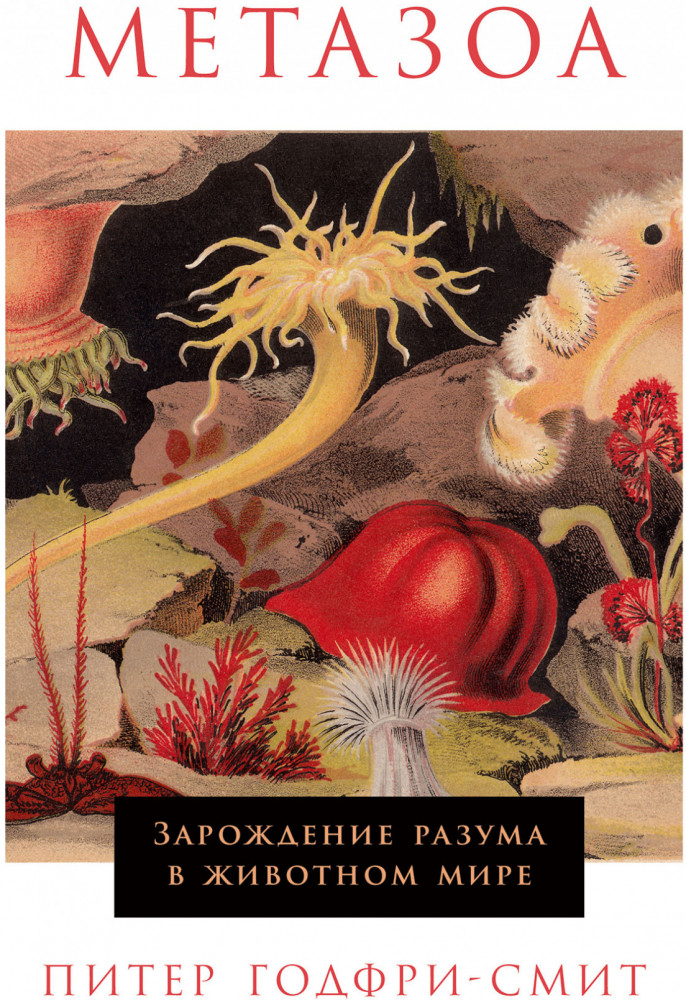 Метазоа. Зарождение разума в животном мире