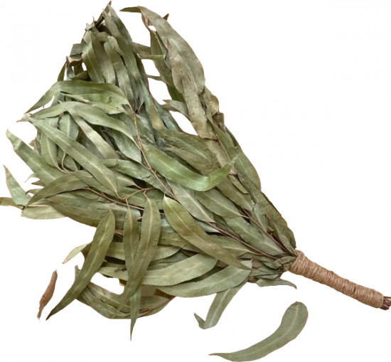 Веник «эвкалипт» с оплеткой