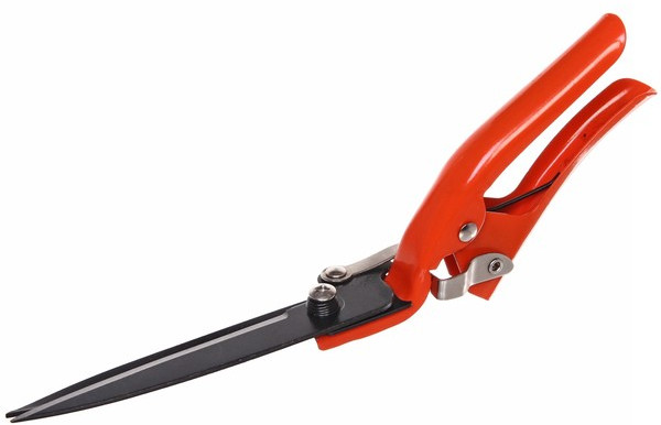 Ножницы для стрижки газона | ДоброСад