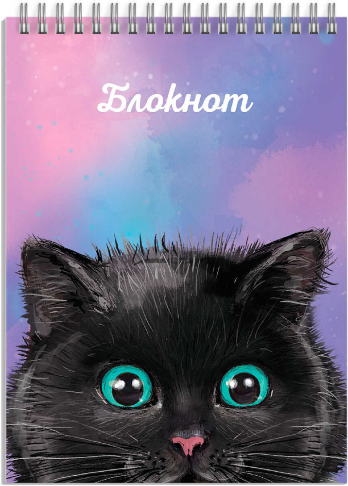 Блокнот «Чёрный кот» | Феникс +