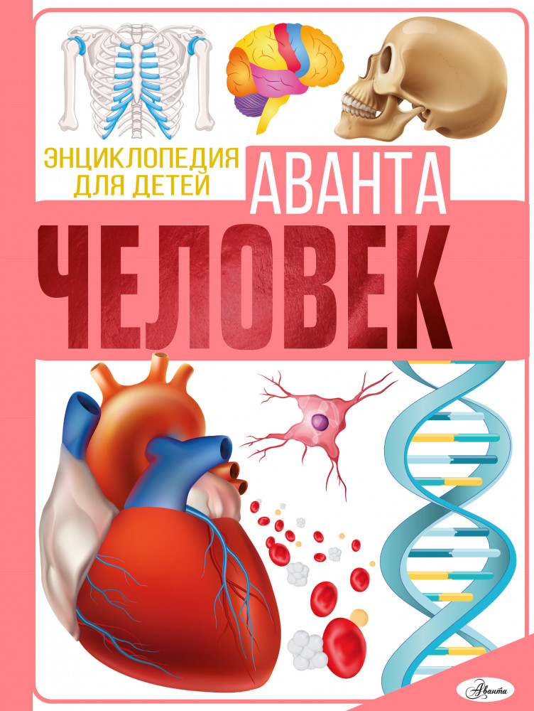 Человек | Энциклопедия для детей Аванта