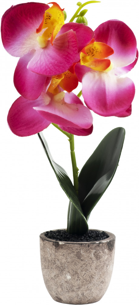 Растение искусственное декоративное «Яркая Орхидея» | Феникс Презент