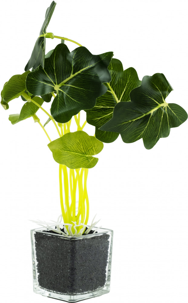 Растение искусственное декоративное «Рассвет» | Феникс Презент