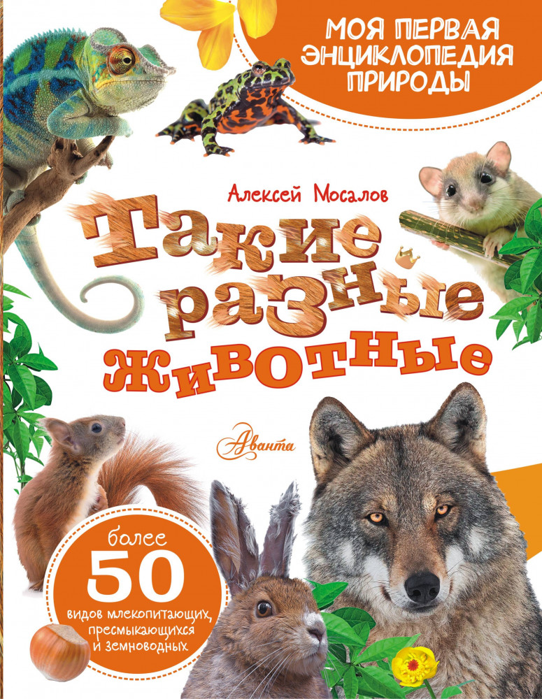 Такие разные животные | Моя первая энциклопедия природы
