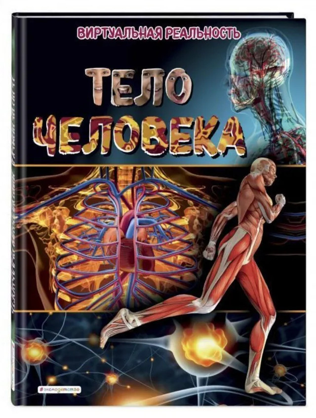 Тело человека. Как устроен наш организм | Энциклопедии с виртуальной реальностью