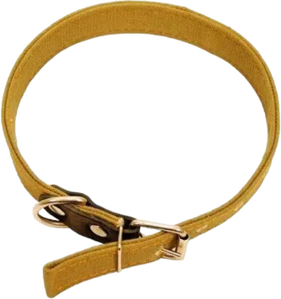 Ошейник для собак | Зоотехнология-М