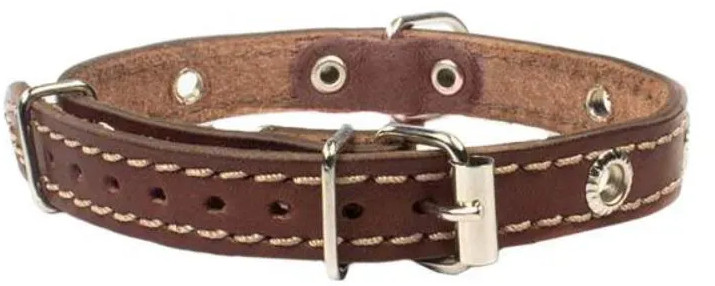 Ошейник для собак | Ред Пластик