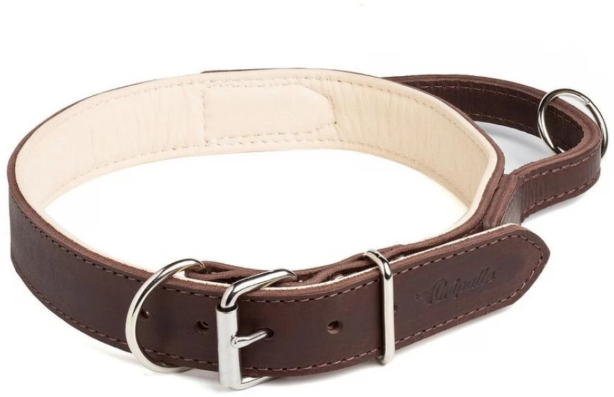 Ошейник для собак «Портер» | Gripalle