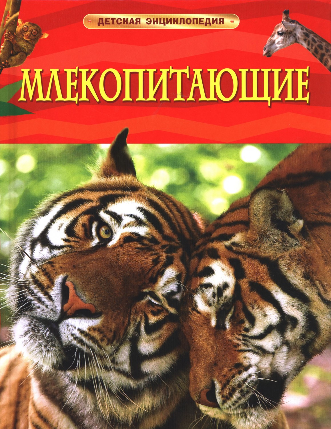 Млекопитающие | Детская энциклопедия