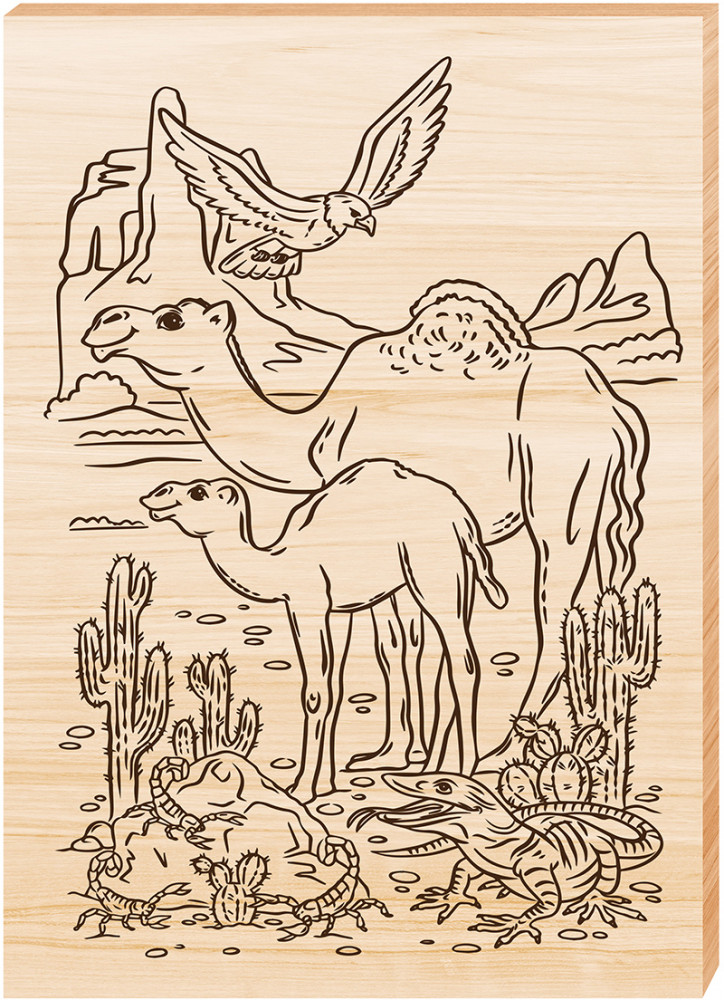 Доска для выжигания «Пустынный край» | Десятое королевство