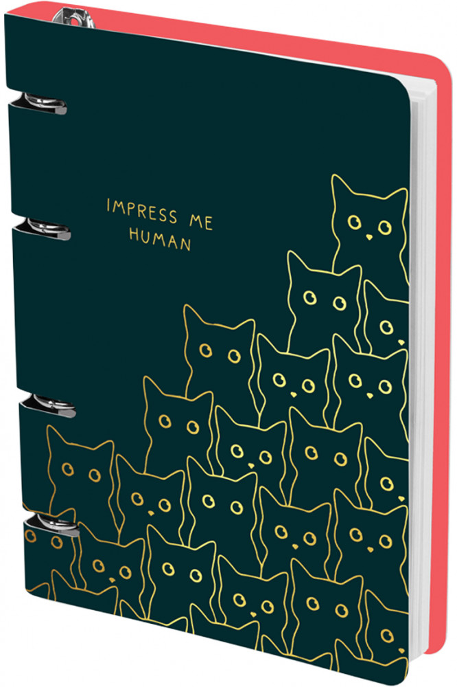 Тетрадь на кольцах «Amazing cats» | Meshu