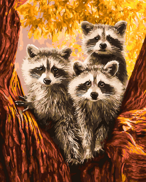 Картина по номерам «Семейство енотов» | Арт Фея