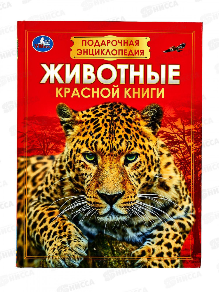 Животные Красной книги. Подарочная энциклопедия | Подарочная энциклопедия | УМка