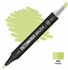 G43 Сельдерей