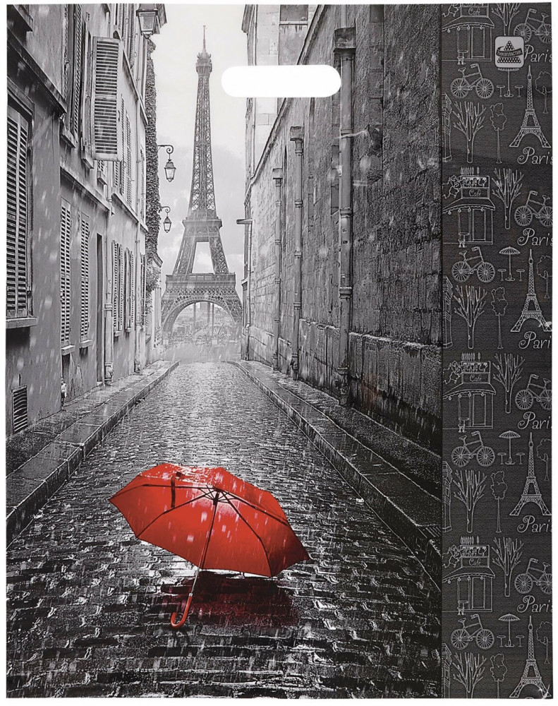 Пакет подарочный «Мой Париж» | ТикоПластик