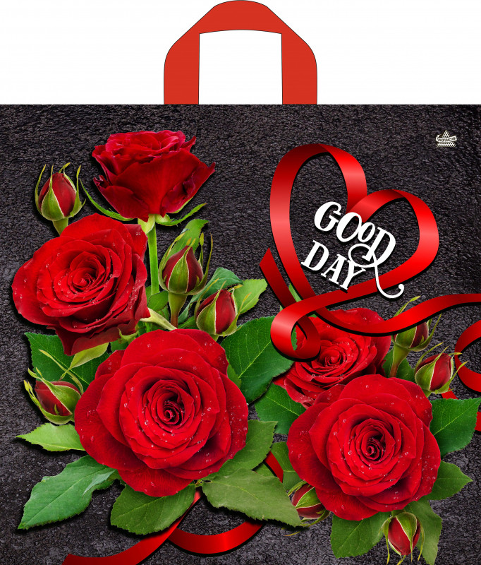 Пакет подарочный «Отличный день» | ТикоПластик