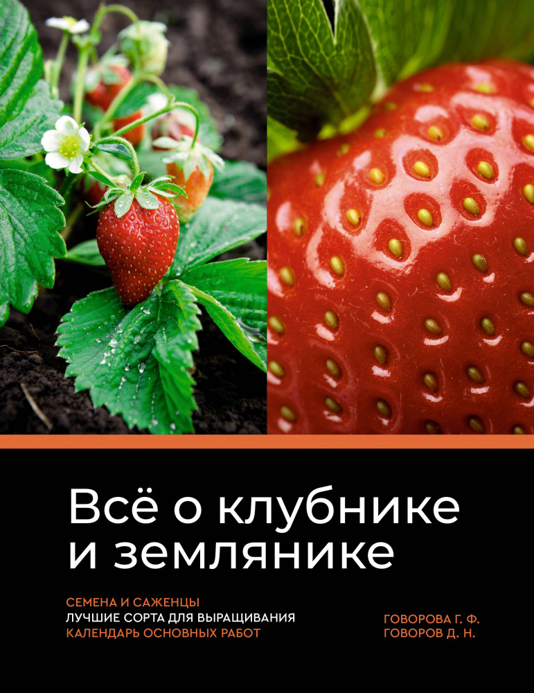 Всё о клубнике и землянике. Семена и саженцы. Лучшие сорта для выращивания. Календарь основных работ | Дачник 2.0